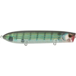 Cane Walker Saltwater