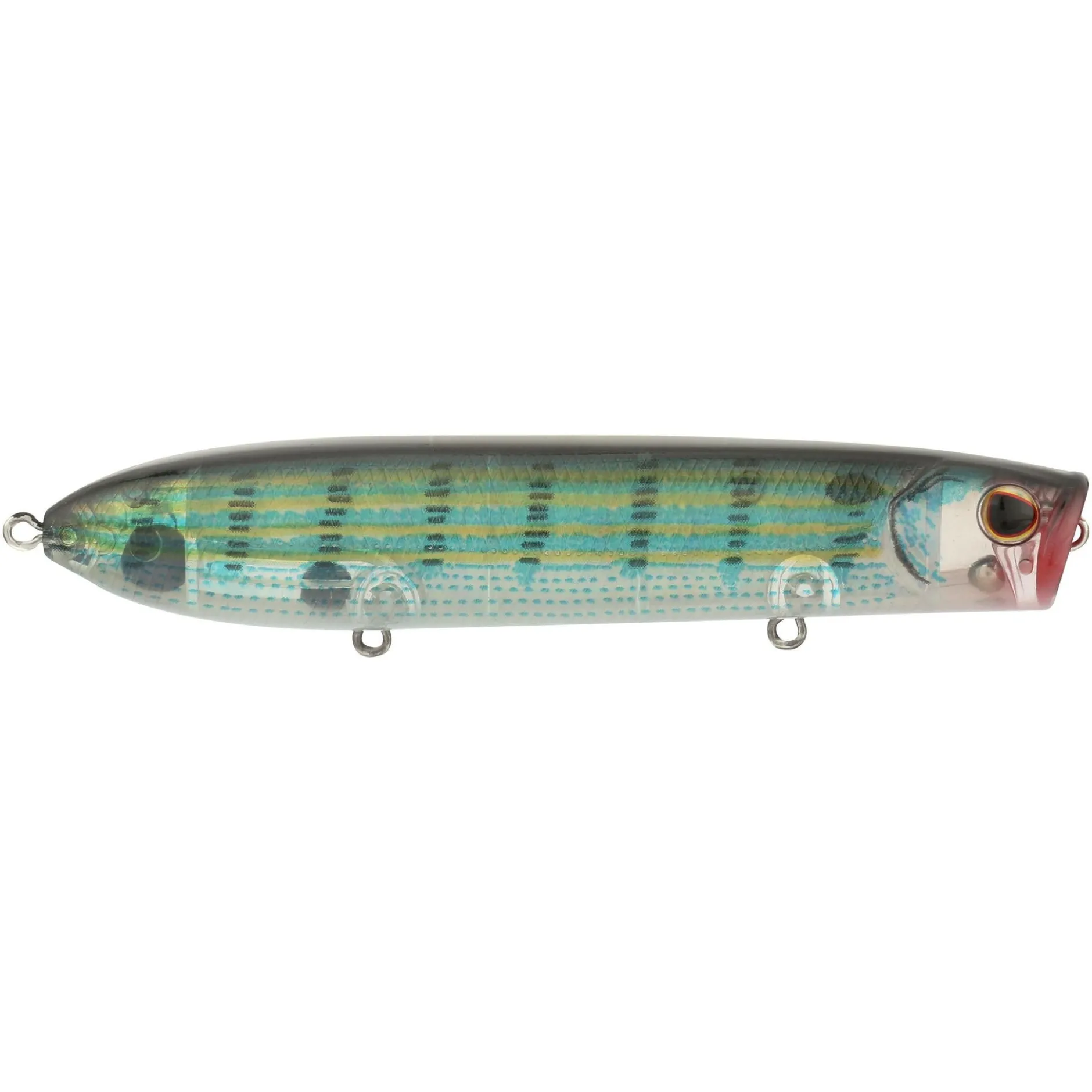 Cane Walker Saltwater