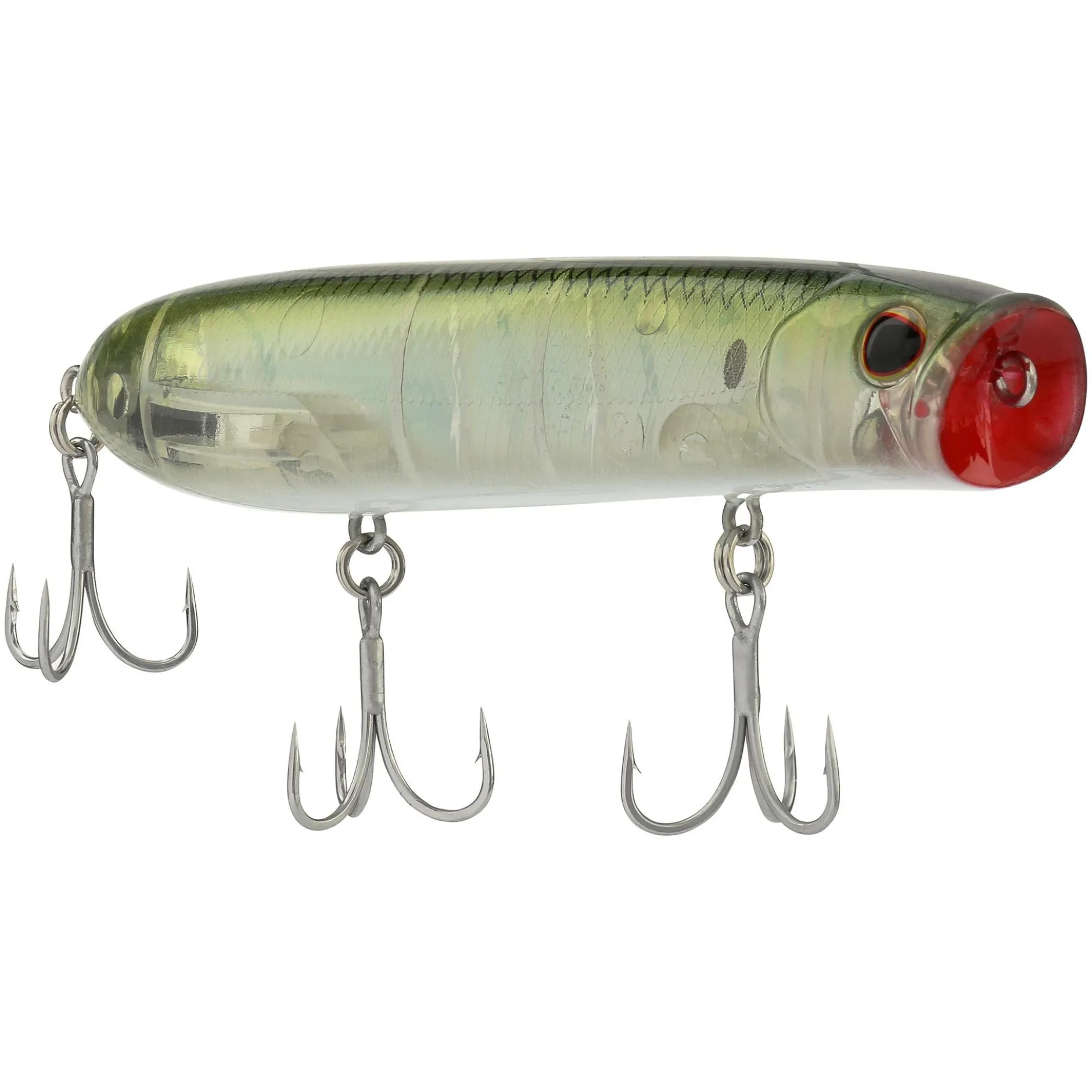 Cane Walker Saltwater