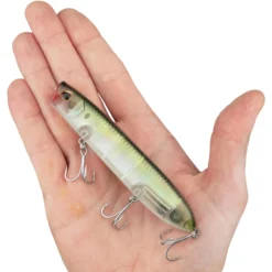 Cane Walker Saltwater