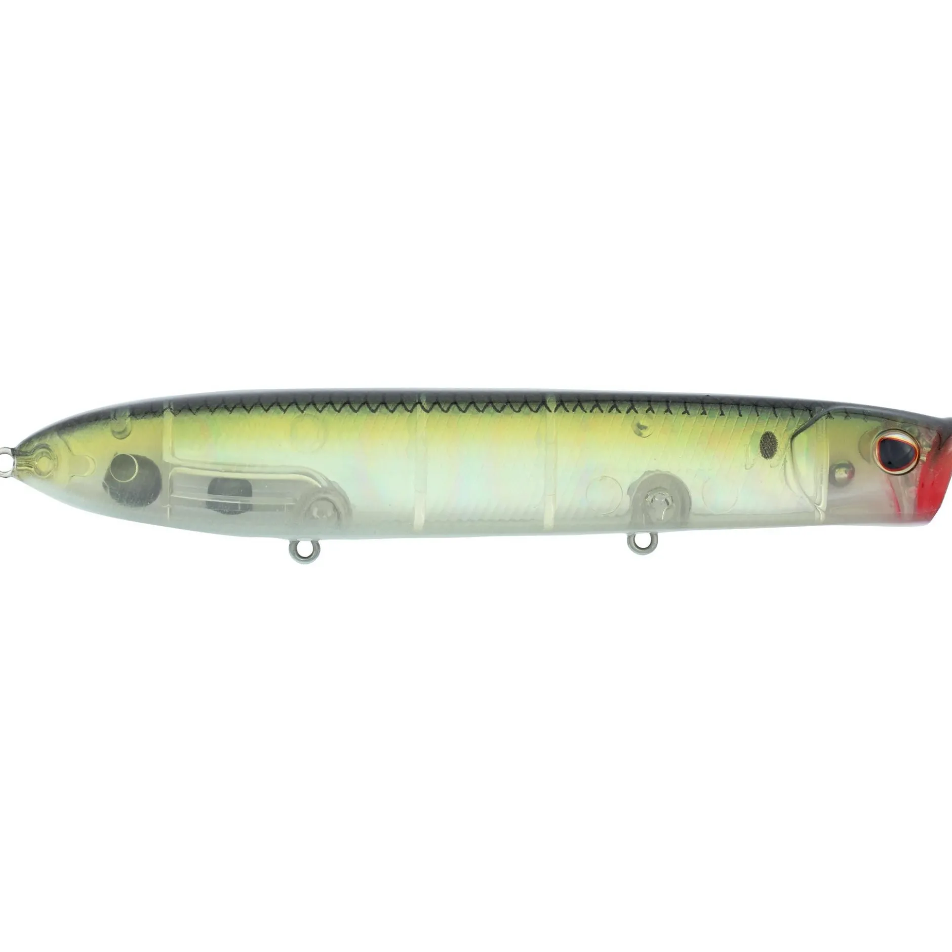 Cane Walker Saltwater