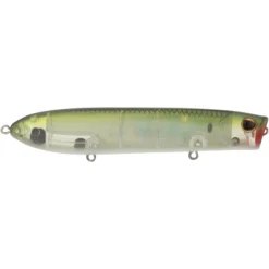 Cane Walker Saltwater