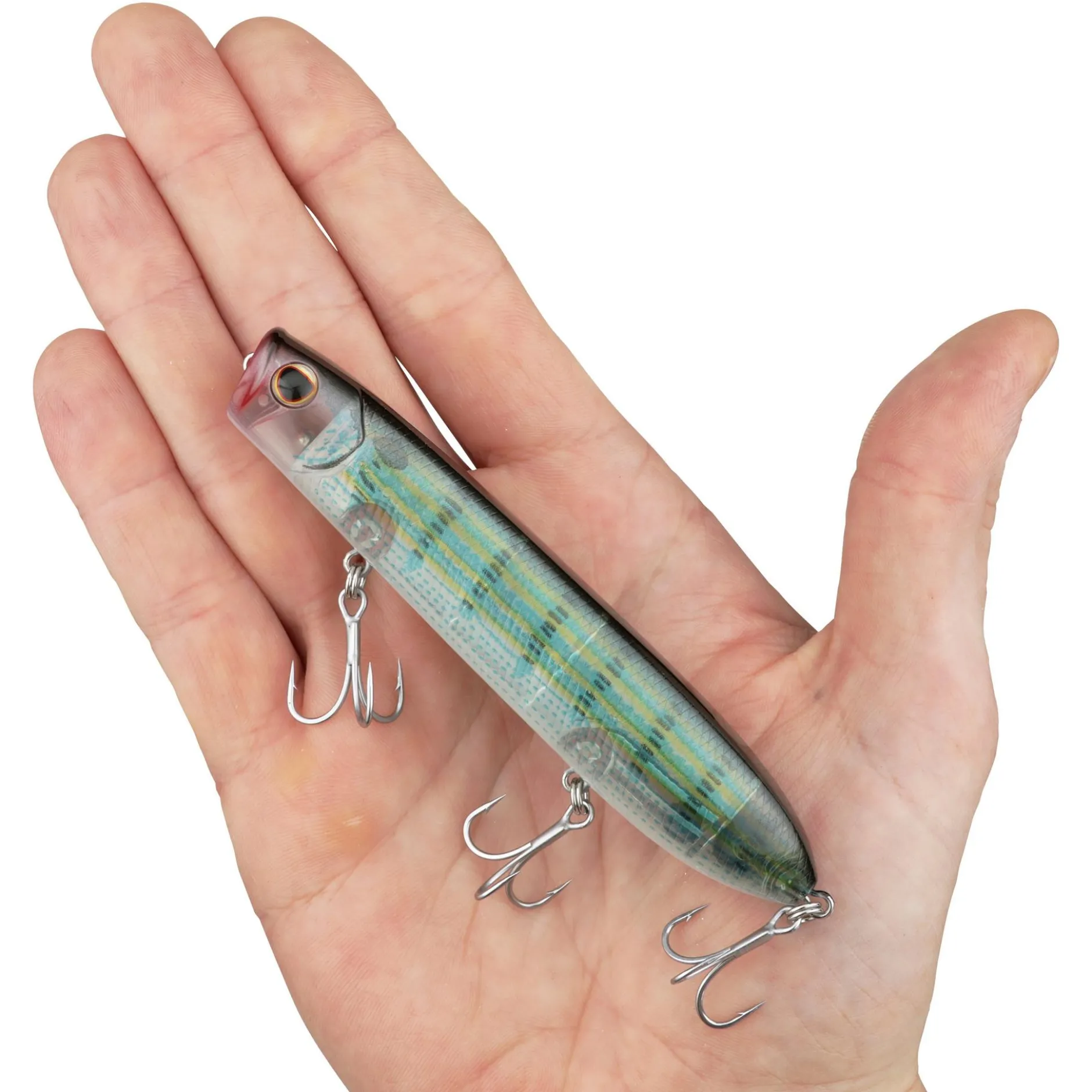 Cane Walker Saltwater