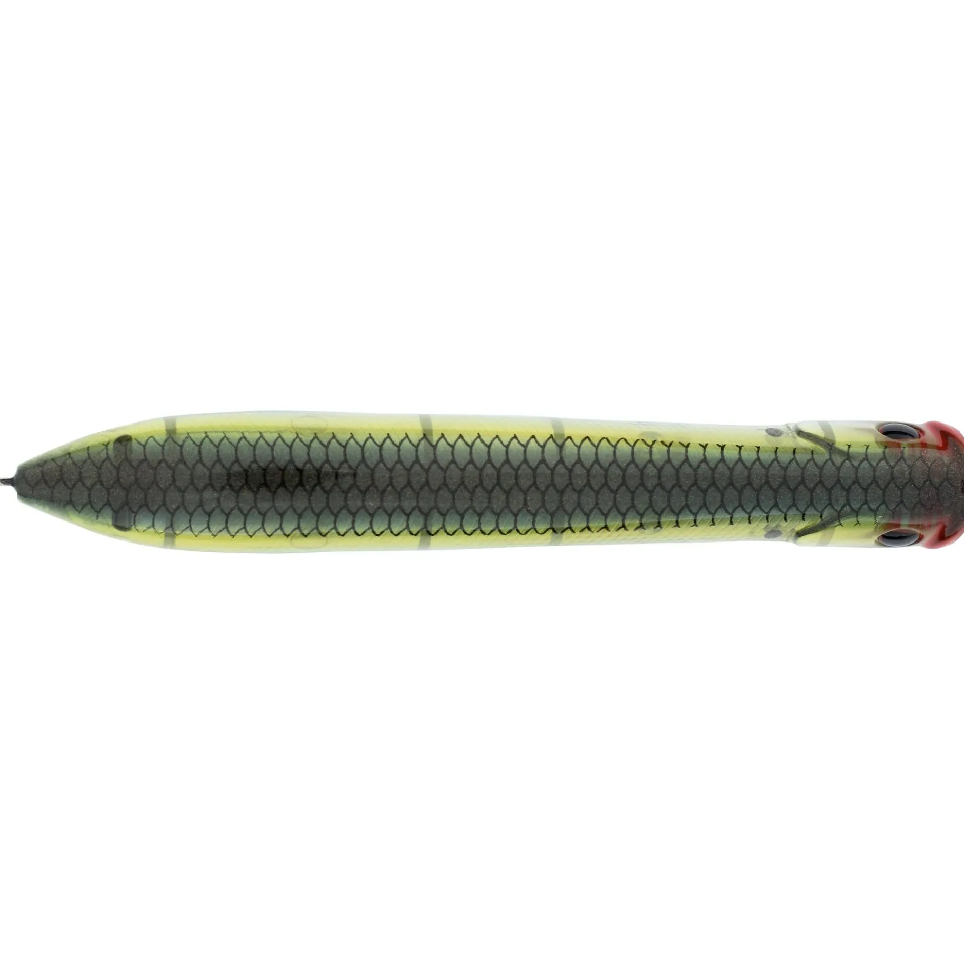 Cane Walker Saltwater