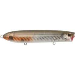 Cane Walker Saltwater