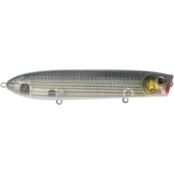 Cane Walker Saltwater