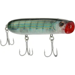 Cane Walker Saltwater