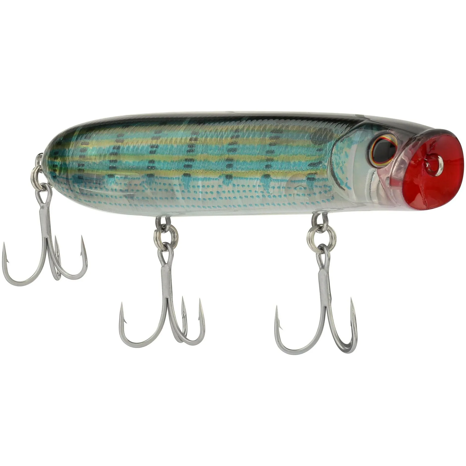 Cane Walker Saltwater