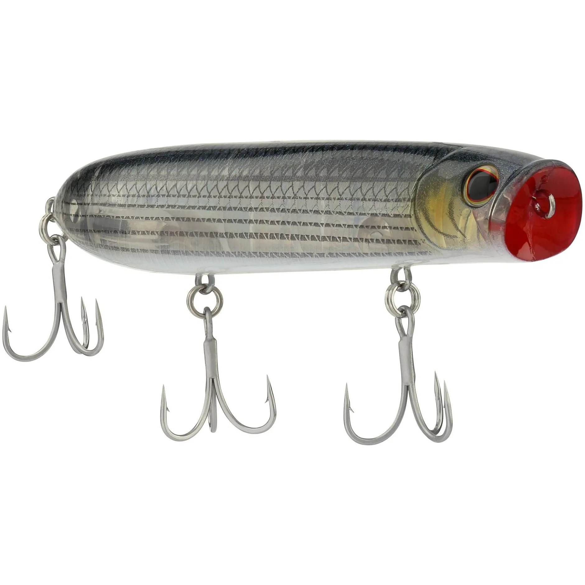 Cane Walker Saltwater