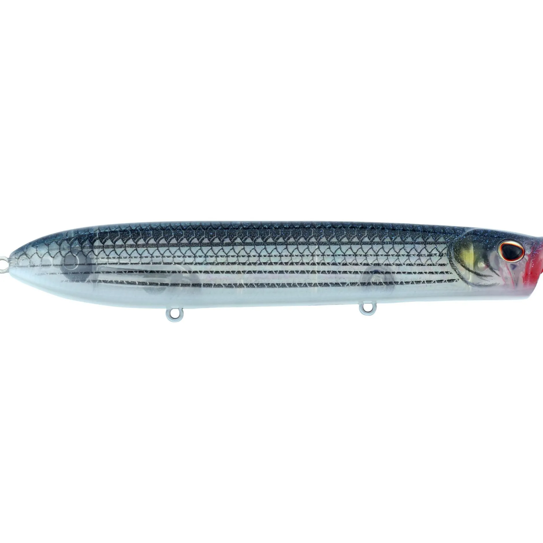 Cane Walker Saltwater