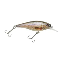 Flicker Shad® Shallow