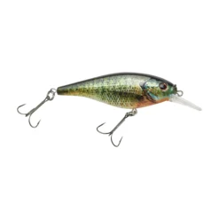 Flicker Shad® Shallow