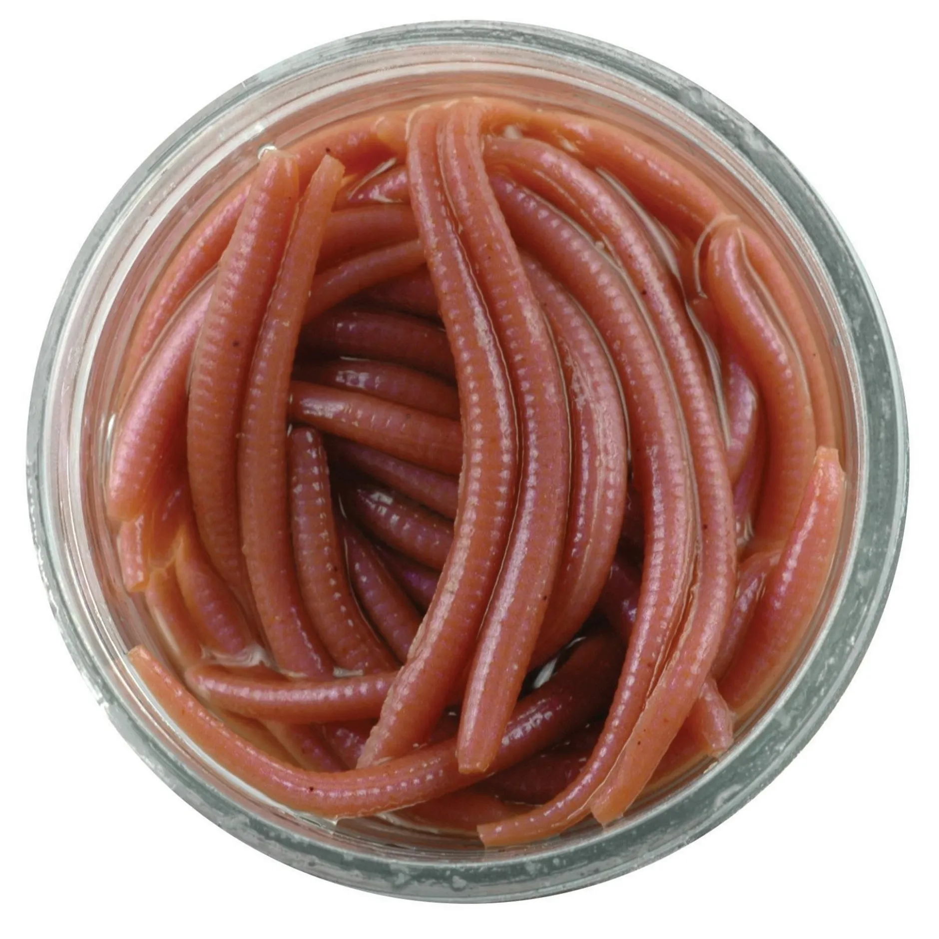 Gulp! Alive!® Angle Worm