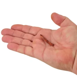 Gulp! Alive!® Fat Floating Trout Worm