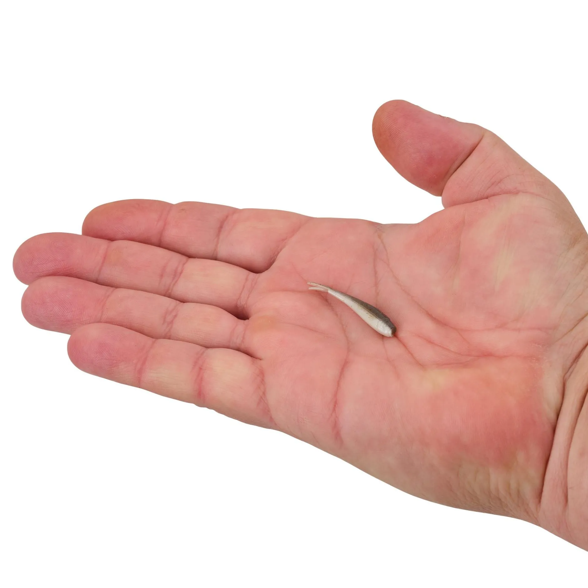 Gulp! Alive!® Minnow