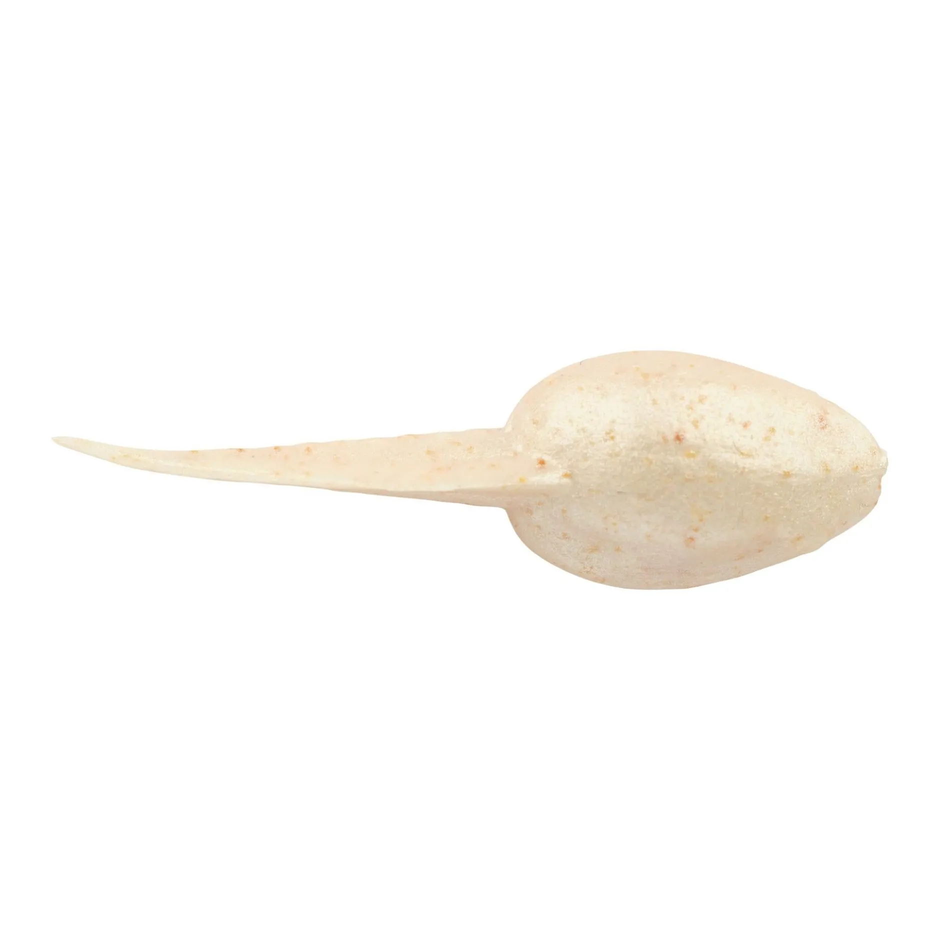 Gulp! Alive!® Tadpole