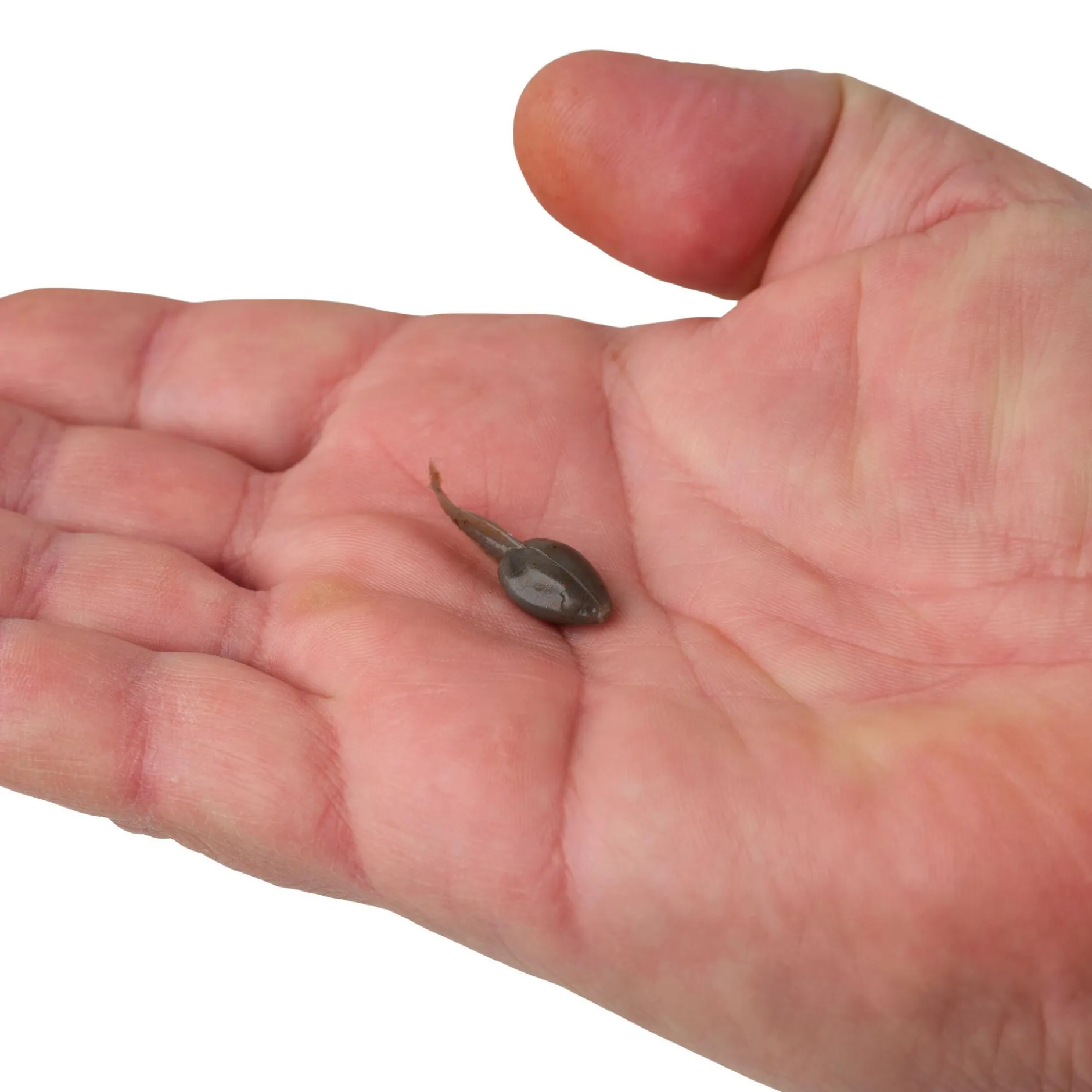 Gulp! Alive!® Tadpole