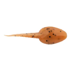 Gulp! Alive!® Tadpole