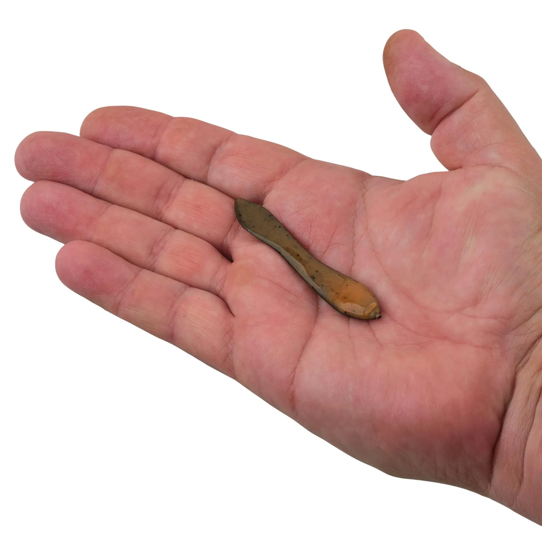 Gulp!® Leech
