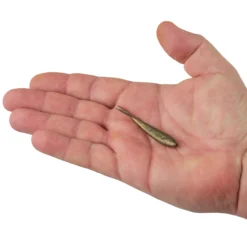 Gulp!® Minnow