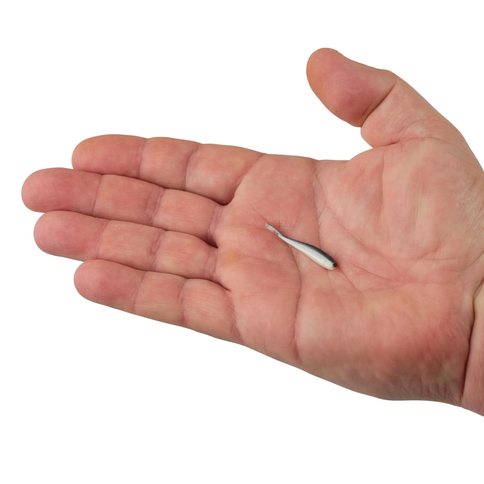 Gulp!® Minnow