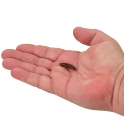 Gulp!® Pinched Crawler
