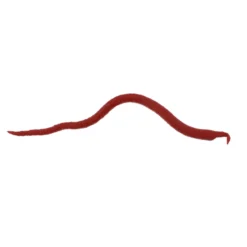 Gulp!® Saltwater Extruded Bloodworm