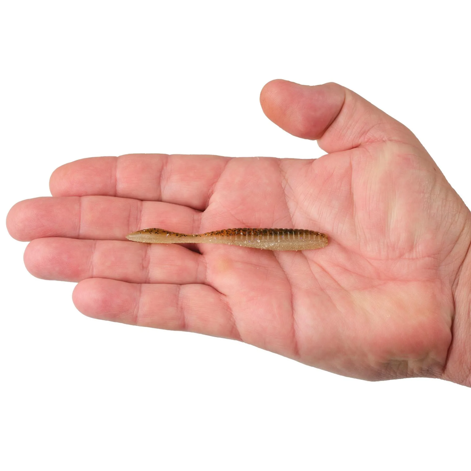 Lab Series™ Flat Worm