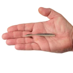 Lab Series™ Flat Worm