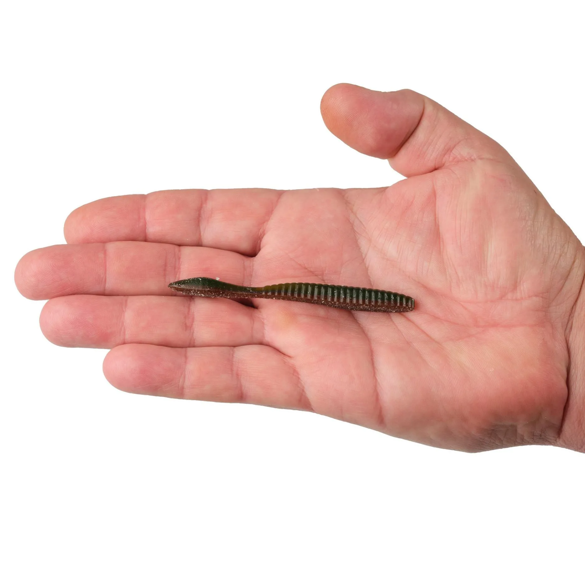 Lab Series™ Flat Worm