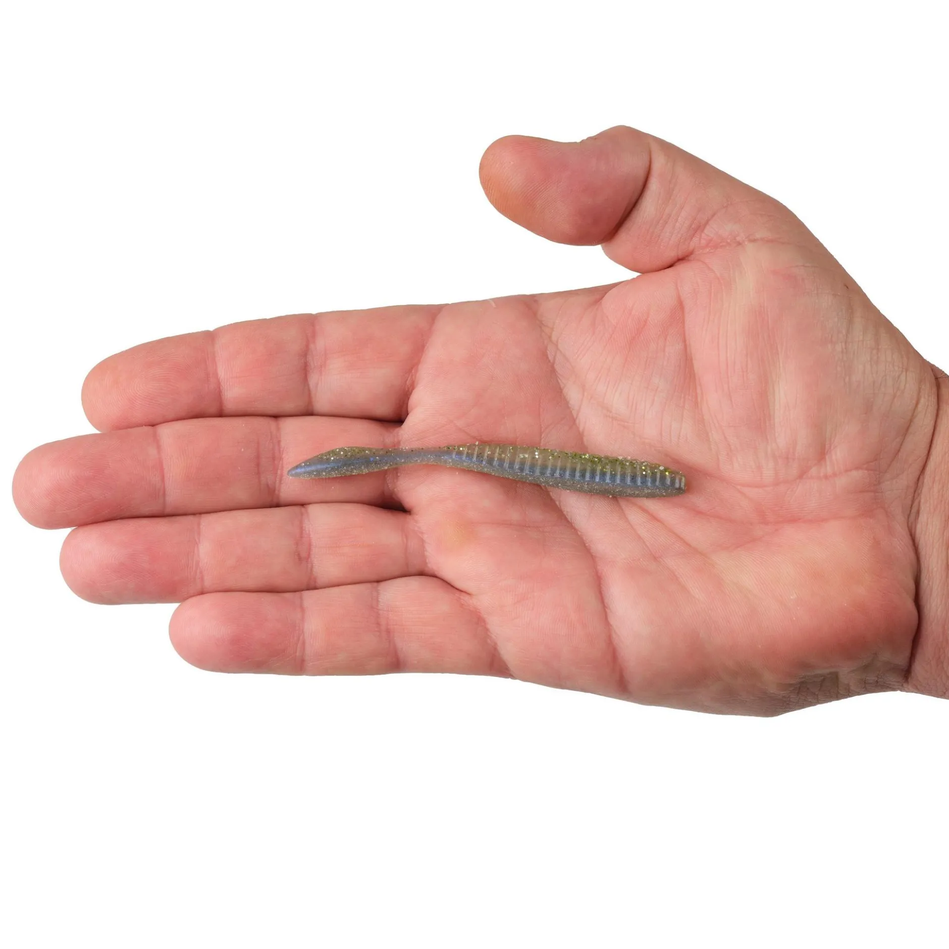 Lab Series™ Flat Worm