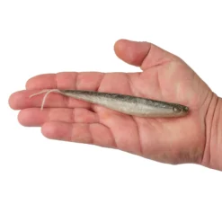 Lab Series™ Minnow