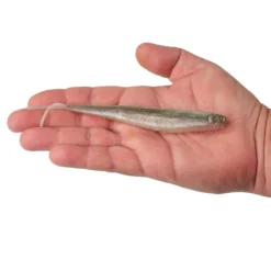 Lab Series™ Minnow