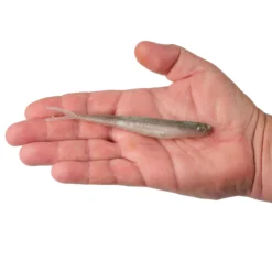 Lab Series™ Minnow