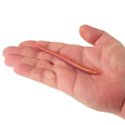 PowerBait® Bottom Hopper