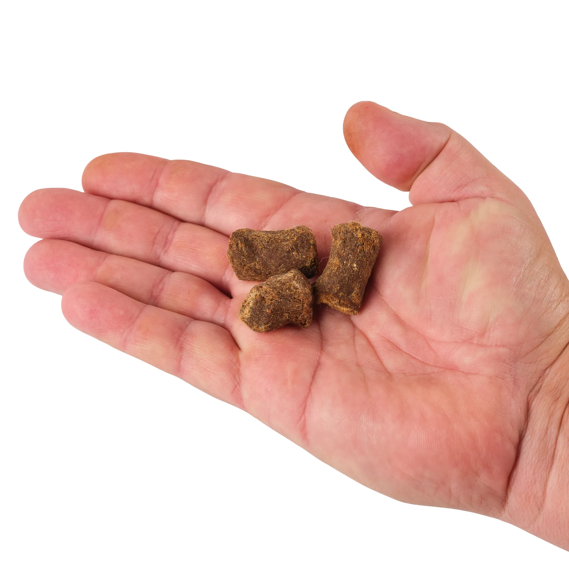 PowerBait® Catfish Bait Chunks