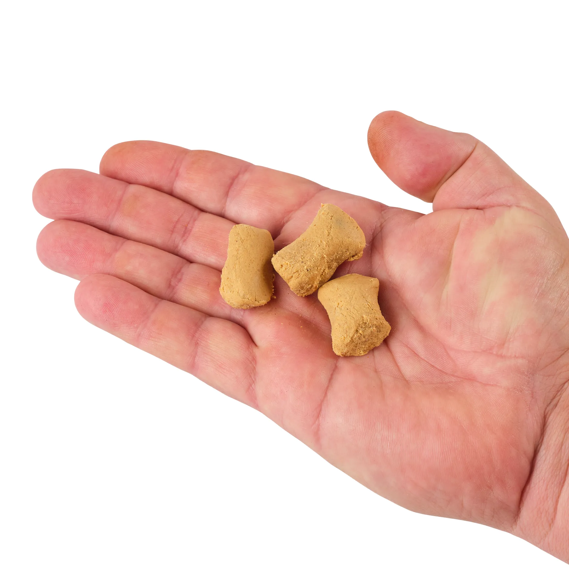 PowerBait® Catfish Bait Chunks