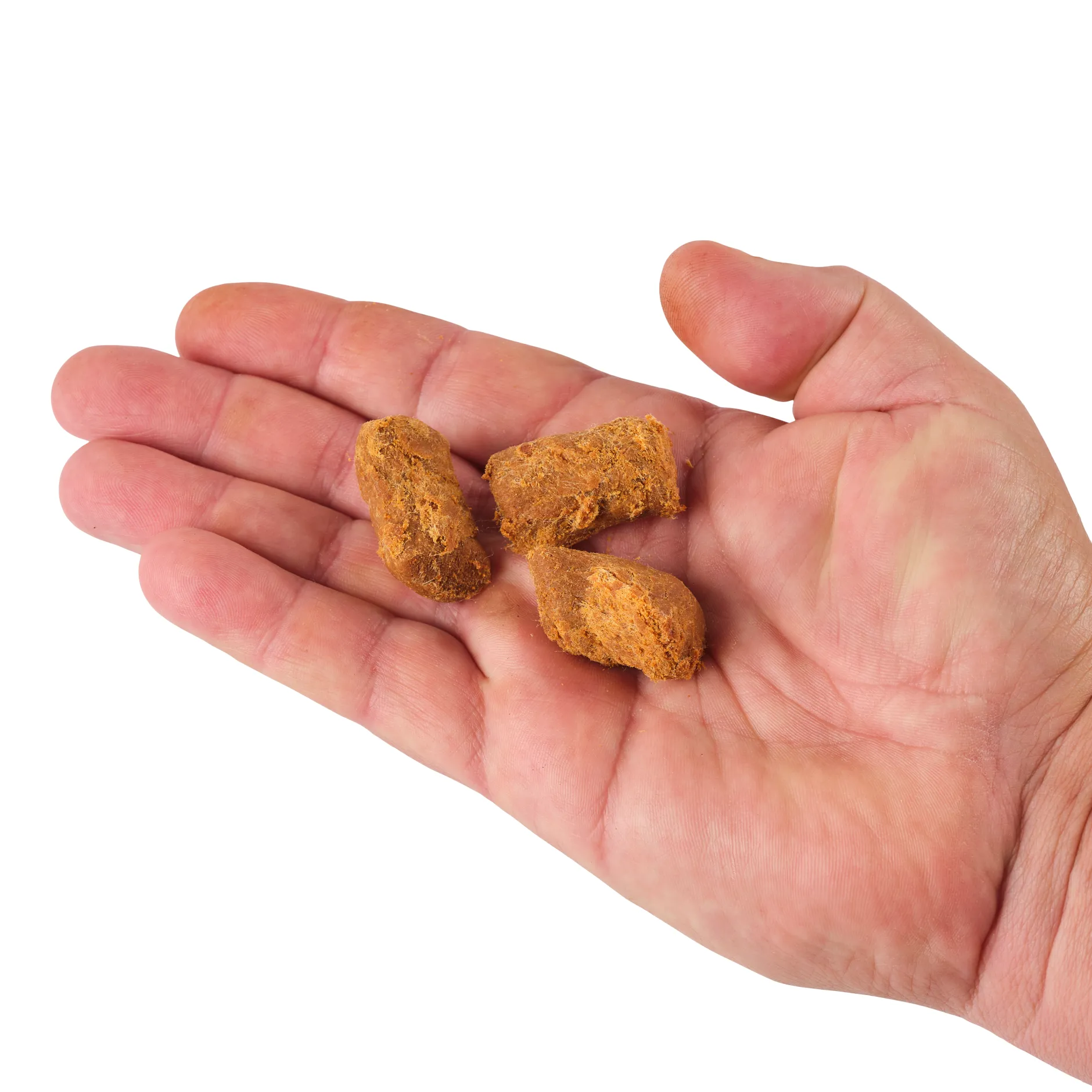 PowerBait® Catfish Bait Chunks