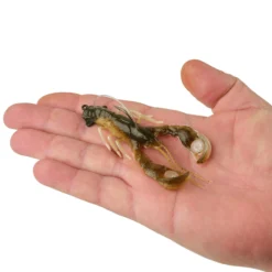 PowerBait® Clatter Craw