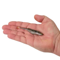 PowerBait® Drip Swimmer