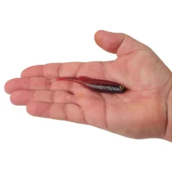 PowerBait® Drip Swimmer