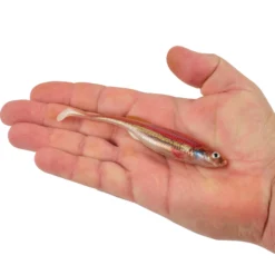 PowerBait® Drip Swimmer