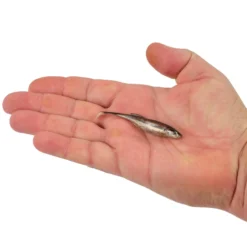PowerBait® Drip Swimmer
