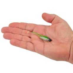 PowerBait® Drip Swimmer