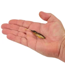 PowerBait® Drip Swimmer