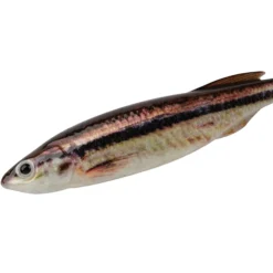 PowerBait® Drip Swimmer