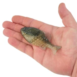 PowerBait® Gilly