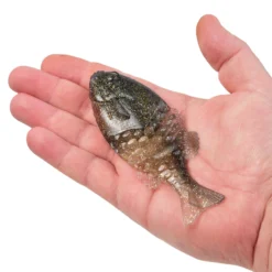 PowerBait® Gilly