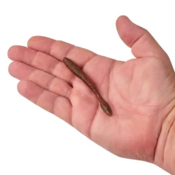 PowerBait® MaxScent Flat Worm