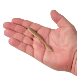 PowerBait® MaxScent Flat Worm